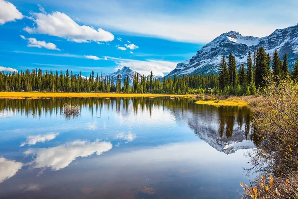 秋天在加拿大 在落基山脉的浅沼泽湖泊 群山覆盖着白雪 生态旅游的概念 — 图库照片