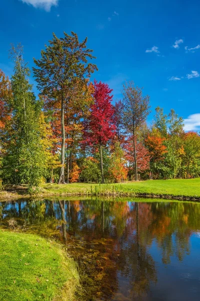 Adorable Pure Pond Beautiful Park Concept Active Tourism Charming Pond — Stock Photo, Image