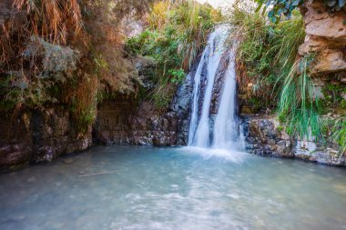 Güzel şelale ve küçük doğal Gölü Milli Parkı Ein Gedi, İsrail içinde temiz su ile