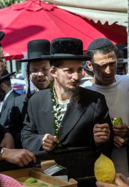 Jerusalem, İsrail - 16 Ekim 2016: Geleneksel Pazar Sukkot tatil önce. Siyah şapkalı bir dindar Yahudi ritüel bitki myrtle seçer