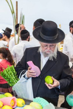 Jerusalem, İsrail - 16 Ekim 2016: Geleneksel Pazar Sukkot tatil önce. Beyaz sakalı kontrol ile yaşlı Ortodoks Yahudi etrog narenciye bitki 