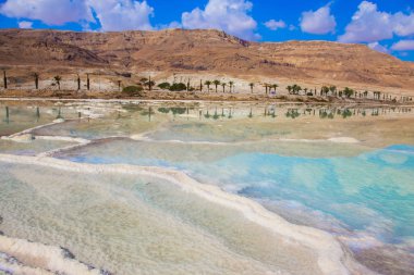 Dead Sea sıcak yaz günü, İsrail adlı ünlü deniz. Sığ buharlaştırılmış tuz ile kaplı. Tıbbi ve ekolojik turizm kavramı 