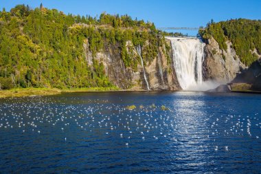 Mavi Göl kenarında güçlü şelale Montmorency Montmorency Falls Park suların dinlenme kuşlar. Etkin ve kültürel turizm kavramı. 