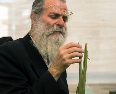 Jerusalem, İsrail - 16 Ekim 2016: Geleneksel Pazar Sukkot tatil önce. Bitki kontrol beyaz sakallı yaşlı Ortodoks Yahudi