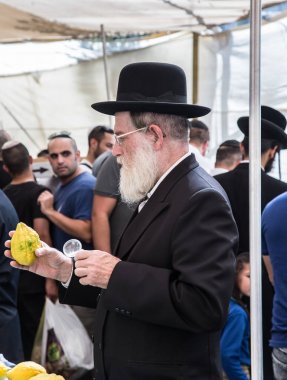 Jerusalem, İsrail - 16 Ekim 2016: Geleneksel Pazar Sukkot tatil önce. Beyaz sakalı kontrol ile yaşlı Ortodoks Yahudi etrog narenciye bitki 