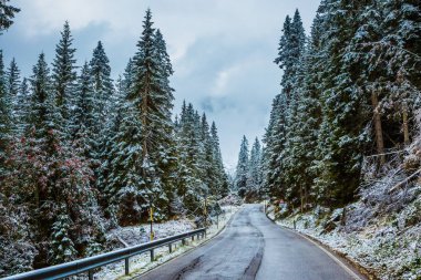 Kış geldi. Dağlarda kar köknar ve çam ağaçları arasında ıslak yol