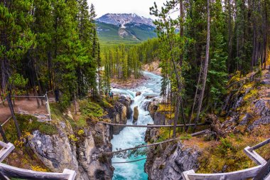 Small island in the river. The waterfall rushes to the rocky shores. Jasper National Park, Canada. The concept of extreme and ecological tourism  clipart