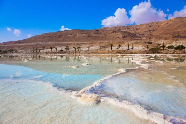 Dead Sea sıcak yaz günü, İsrail adlı ünlü deniz. Sığ buharlaştırılmış tuz ile kaplı. Tıbbi ve ekolojik turizm kavramı 
