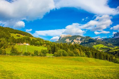 Hızlı soğuk creek arasında düz tundra akar. Aşırı Kuzey turizm kavramı.