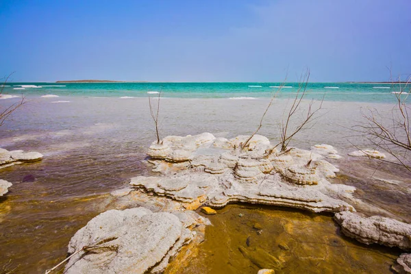 在炎热的夏日 以色列的死海上著名的海滨 浅覆盖着蒸发的盐 医疗生态旅游理念 — 图库照片