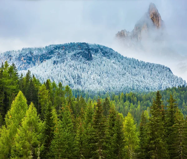 Concept Écotourisme Forêts Feuilles Persistantes Dans Vallée Couvertes Première Neige — Photo