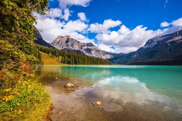 Bosque Coníferas Orilla Del Lago Montaña Lago Esmeralda Parque Nacional —  Fotos de Stock