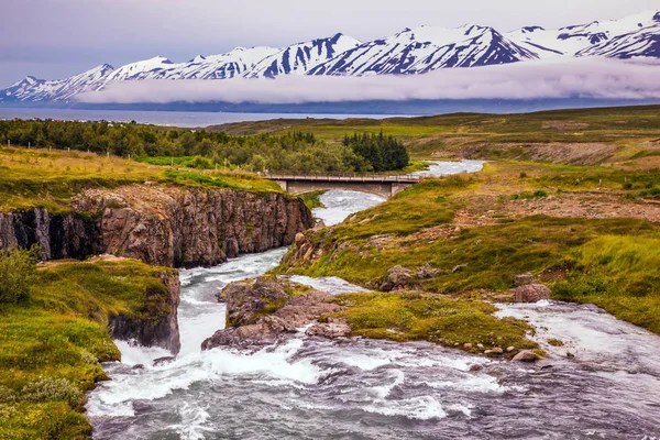 Riacho Frio Rápido Flui Entre Tundra Plana Conceito Turismo Extremo — Fotografia de Stock