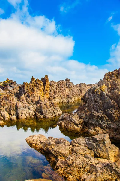 Pitoresk Kayalar Taşlar Volkanik Ada Madeira Atlantik Sahil Egzotik Ekolojik — Stok fotoğraf