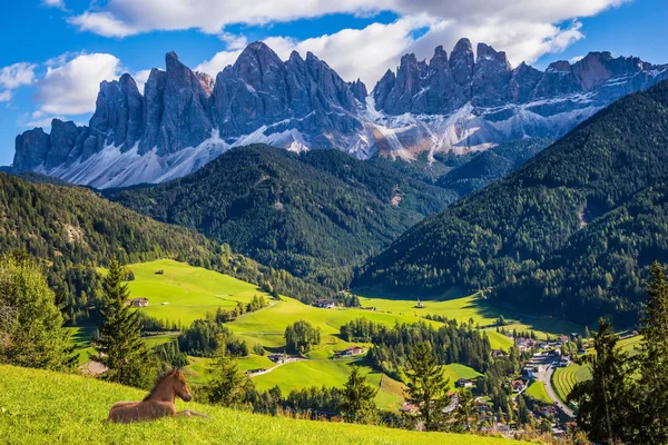 Precioso Día Soleado Naturpark Puez Odle Valle Funes Dolomitas Caballo —  Fotos de Stock