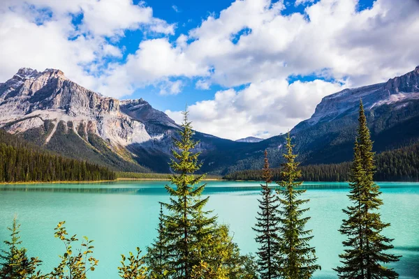 Smaragdgröna Sjön Omgiven Barrskog Magiska Emerald Lake Canadian Rockies — Stockfoto
