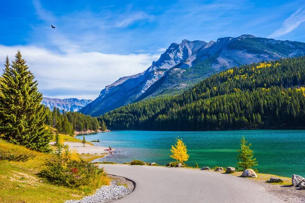 湖の純粋な青緑色の水には 針葉樹林が反映されます カナダで黄金色の秋 生態学的な観光事業のコンセプトです バンフ国立公園 — ストック写真