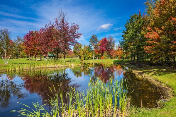 Güzel park çok güzel oval gölette. Fransızca Kanada parlayan gün. Eğlence turizm kavramı. Sonbahar yaprakları su birikintisi açık suya yansıyan
