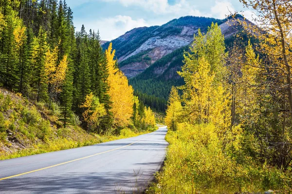 Asfaltowa Droga Biegnie Między Górami Pochmurny Dzień Jesieni Canadian Rockies — Zdjęcie stockowe