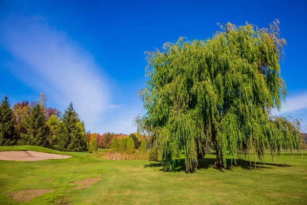 Conceito Golfe Turismo Ativo Clube Golfe French Canada Campo Golfe — Fotografia de Stock