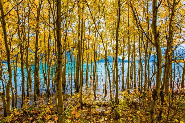 Klippiga Bergen Kanada Indian Summer Molnfri Dag Oktober Magnifika Turkosa — Stockfoto