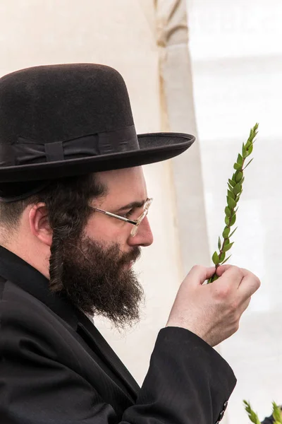 Jerusalem Israel Oktober 2016 Traditionell Marknad Före Semestern Sukkot Religiös — Stockfoto