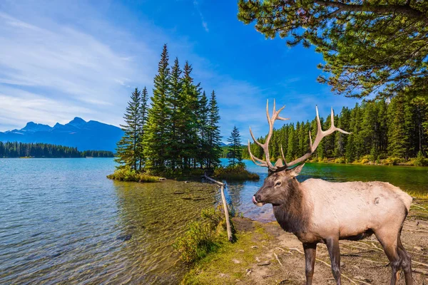 Concept Ecological Active Tourism Picturesque Lake Emerald Water Rocky Mountains — Stock Photo, Image