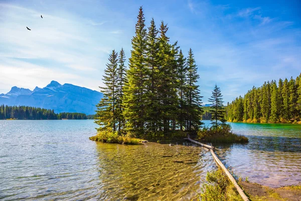 Lago Con Agua Turquesa Está Rodeado Bosques Coníferas Concepto Turismo —  Fotos de Stock