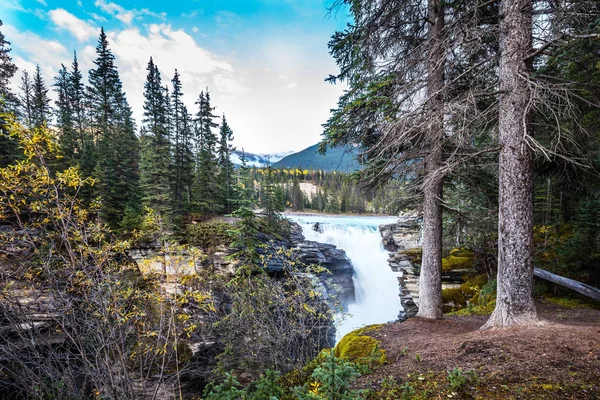 在加拿大的秋天晚上晴朗 阿萨巴斯卡的冒泡瀑布在碧玉公园的森林里 寒冷的蓝色水在日落 极端生态旅游理念 — 图库照片