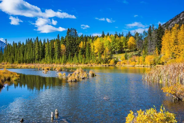 Indian Summer Rocky Mountains Canada Superficial Lake Vermilion Mountains Woods — Stock Photo, Image