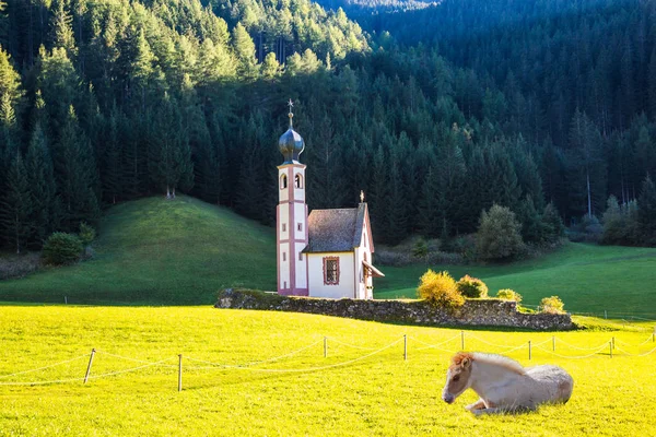 Famosa Chiesa Santa Magdalena Nel Verde Dei Prati Alpini Valle — Foto Stock