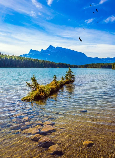 Petite Île Près Rive Avec Eau Turquoise Pure Lac Minnewanka — Photo