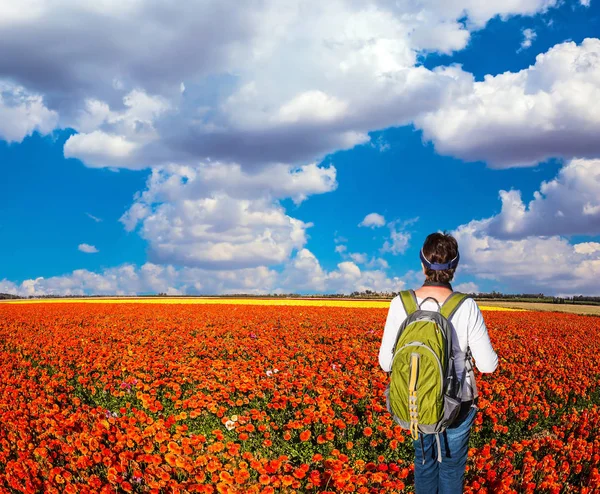 Woman Tourist Backpack Admiring Floral Field Concept Rural Recreational Tourism — Stock Photo, Image