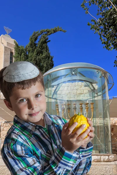 Söt Pojke Vit Kalott Med Gula Etrog Sukkot Gyllene Menorah — Stockfoto