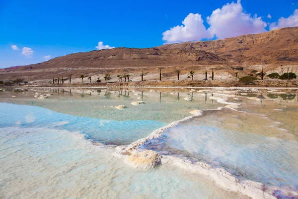 Famous Seaside Dead Sea Hot Summer Day Israel Shallow Covered — Stock Photo, Image