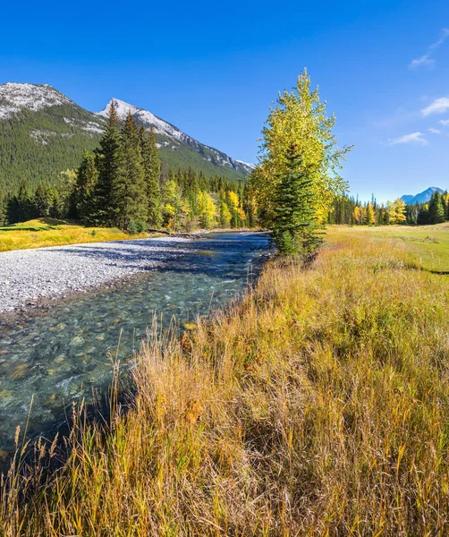 Ηλιόλουστη Φθινοπωρινή Μέρα Στην Βραχώδη Όρη Του Καναδά Ξήρανση Stream — Φωτογραφία Αρχείου
