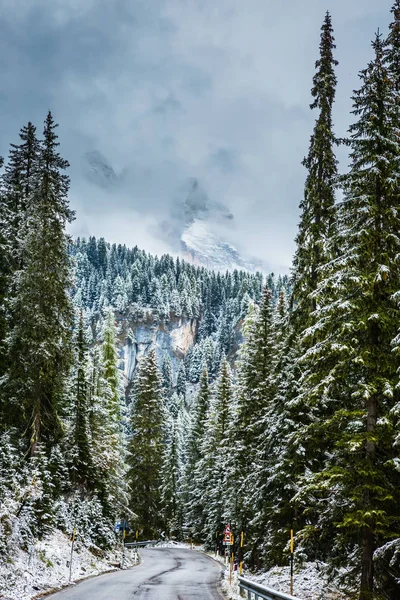 Breve Natal Estrada Molhada Nas Montanhas Entre Abetos Cobertos Neve — Fotografia de Stock