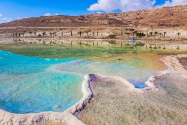 Tuz sığ deniz kıyısında pitoresk çizgili. Terapötik Dead Sea, İsrail. Tıbbi ve ekolojik turizm kavramı 