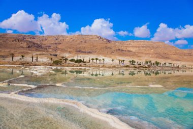 Tuz sığ deniz kıyısında pitoresk çizgili. Terapötik Dead Sea, İsrail. Tıbbi ve ekolojik turizm kavramı 