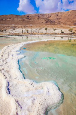 Tuz sığ deniz kıyısında pitoresk çizgili. Terapötik Dead Sea, İsrail. Tıbbi ve ekolojik turizm kavramı 