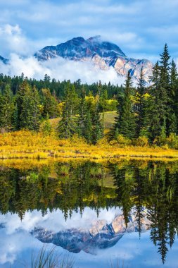Patricia Lake among the evergreen forest, yellow bushes and mountains. Autumn in the Rocky Mountains of Canada clipart