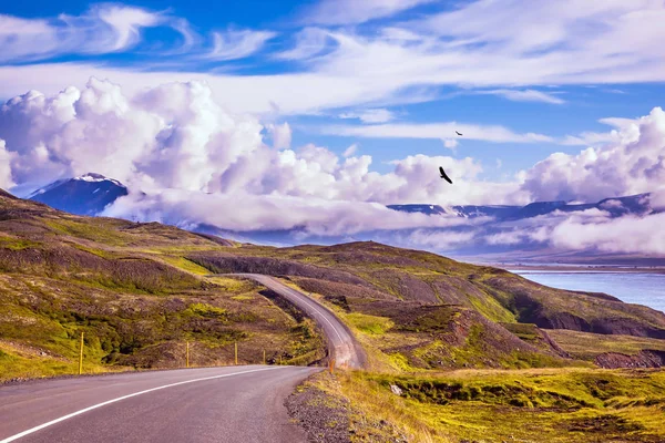 툰드라에 아이슬란드 고속도로입니다 극단적인 관광의 — 스톡 사진