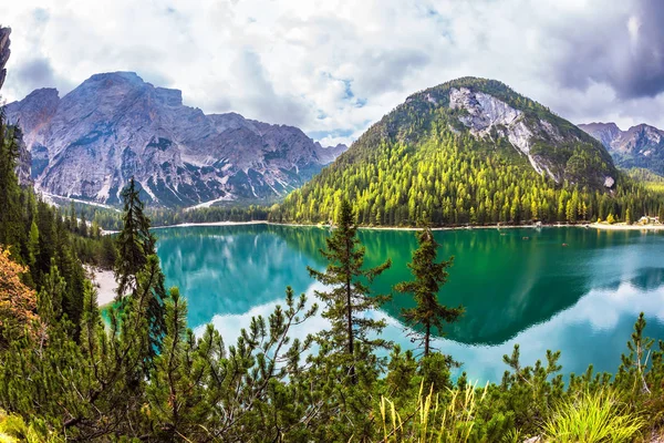 Tirol Del Sur Magnífico Lago Lago Braies Agua Verde Refleja — Foto de Stock