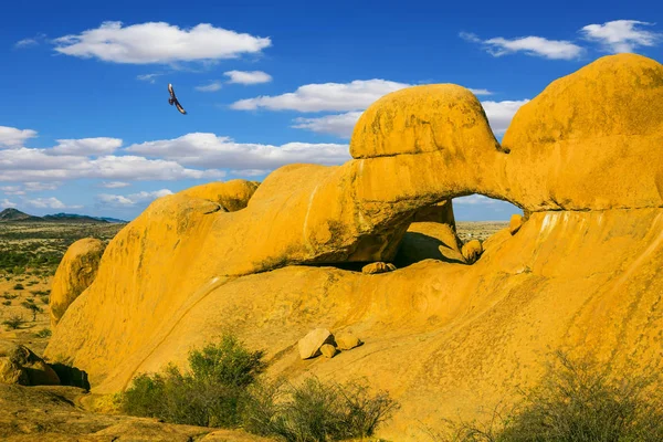 Pájaro Vuela Sobre Desierto Orange Namibia Sudáfrica Puesta Sol Concepto — Foto de Stock