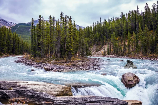 Groene Bos Met Prachtige Waterval Montmorency Falls Park Het Concept — Stockfoto