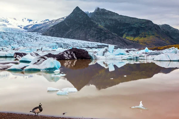 Témpanos Hielo Reflejado Superficie Agua Lisa Laguna Hielo Día Nublado —  Fotos de Stock