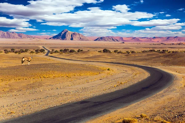 Carretera Desierto Namibia Sudáfrica Puesta Sol Concepto Turismo Extremo Exótico —  Fotos de Stock