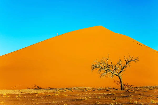 Горячее Солнце Пустыни Оранжевой Намибии Южной Африке Закат Концепция Экстремального — стоковое фото