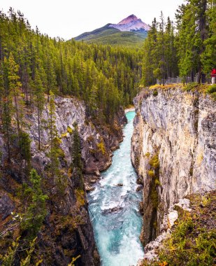Pitoresk şelale Sanvapta Falls Jasper Milli Parkı'nda. Kanada sonbahar gezisi. Aşırı ve ekolojik turizm kavramı