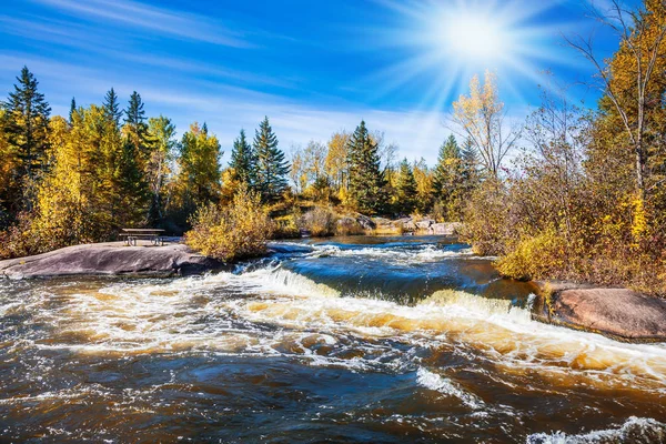 Foamy Water Rifts Stones Low Fir Trees River Banks Winnipeg — Stock Photo, Image